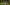 BLUETTI AC50P – Laptop laden im Wald