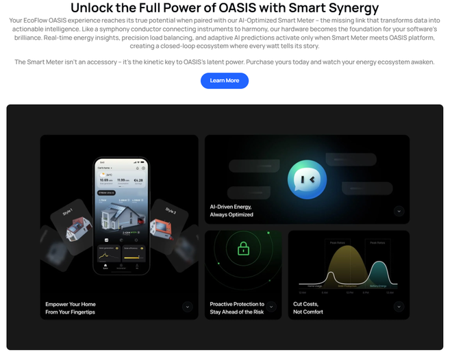 EcoFlow Smart Meter - OASIS AI Smart Synergy
