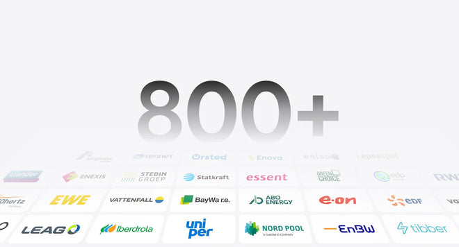 SAMDUO Nex E6000 Kompatibel mit 800 plus Stromanbietern
