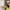 Elektrofachkraft installiert Wieland-Steckdose